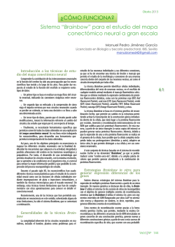 61-64-Cómo funciona-Brainbow - Encuentros en la Biología