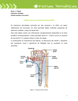 &iquest;C&oacute;mo ocurre el proceso de excreci&oacute;n? En - EducarChile