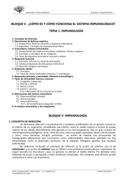 BLOQUE V. ¿CÓMO ES Y CÓMO FUNCIONA EL - IES Sierra Sur