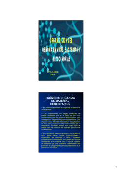 1 ¿CÓMO SE ORGANIZA EL MATERIAL HEREDITARIO? - U-Cursos