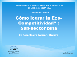 Cómo lograr la Eco- Competitividad? : Sub-sector piña - pnp