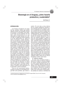 Bioenerg&iacute;a en el Uruguay &iquest;c&oacute;mo hacerla productiva y sustentable?
