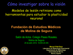 C&oacute;mo investigar sobre la visi&oacute;n - Universidad de Murcia