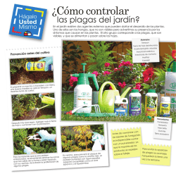 &iquest;C&oacute;mo controlar - H&aacute;galo Usted Mismo