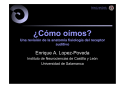 ¿Cómo oímos? - Enrique A. Lopez-Poveda - Universidad de