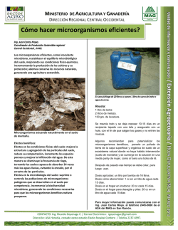 Cómo hacer microorganismos eficientes? - Ministerio de Agricultura