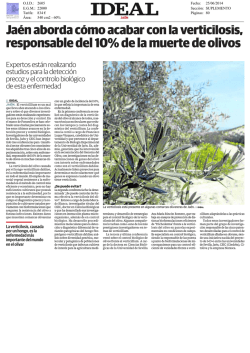 Jaén aborda cómo acabar con la verticilosis, responsable del 10