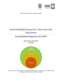 Sostenibilidad Espacial: cómo hacerlo funcionar - Instituto