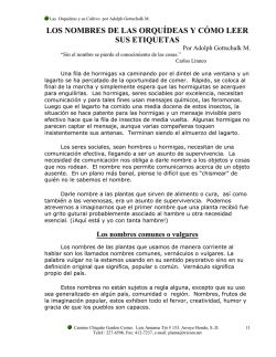 LOS NOMBRES DE LAS ORQU&Iacute;DEAS Y C&Oacute;MO LEER SUS