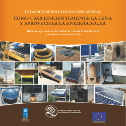 CÓMo usar eFiCienteMente la leÑa Y aProVeCHar la - PNUD