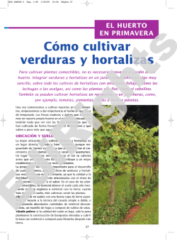 Cómo cultivar verduras y hortalizas o cultivar ras y - EdiRights
