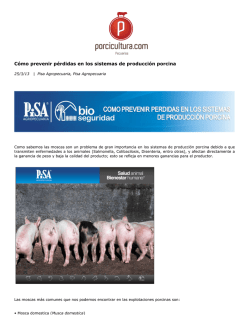 Cómo prevenir pérdidas en los sistemas de - Porcicultura.com