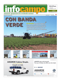 semanario agropecuario de circulaci&oacute;n nacional - Infocampo.com.ar