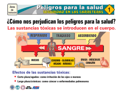 &iquest;C&oacute;mo nos perjudican los peligros para la salud?