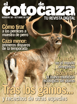 Cómo tirar y recechos de otras especies - El Coto de Caza