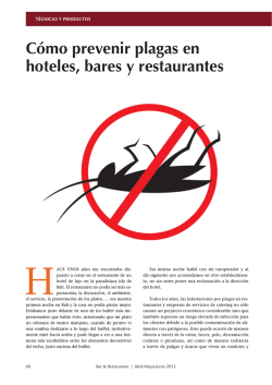 Cómo prevenir plagas en hoteles, bares y restaurantes - Rentokil