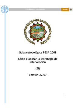 Guía Metodológica PESA 2008 Cómo elaborar la Estrategia de