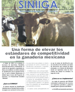 ~ &iquest;C&oacute;mo se va a implementar? &iquest;Qu&eacute; es el SINIIGA? - Patrocipes