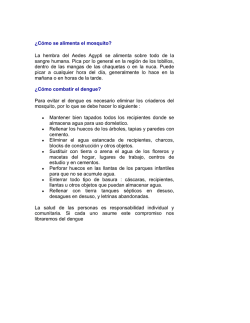 &iquest;C&oacute;mo se alimenta el mosquito? La hembra del Aedes Agypti se