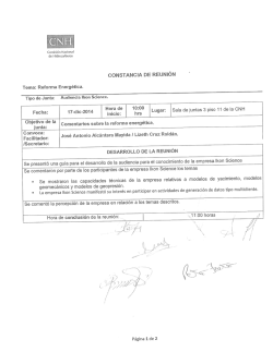 CONSTANCIA DE REUNIÓN - Comisión Nacional de Hidrocarburos