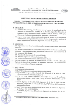 directiva n &quot