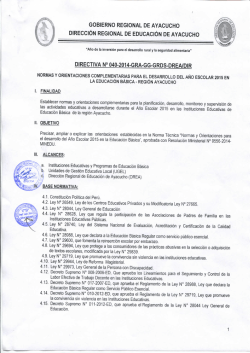 directiva nº 040-2014-gra-gg-grds-drea/dir.