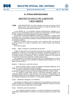 PDF (BOE-A-2014-13399 - 6 págs. - 264 KB ) - BOE.es
