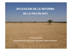 aplicación de la reforma de la pac en 2015
