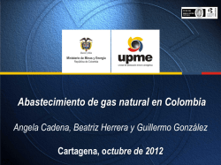 Abastecimiento de Gas Natural en Colombia