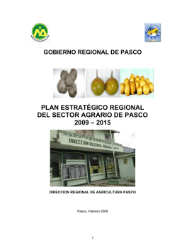 plan estratégico regional del sector agrario de pasco 2009 – 2015
