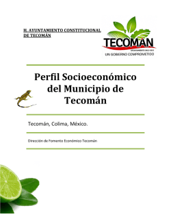 Perfil Socioeconómico del Municipio de Tecomán