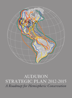 AUDUBON STRATEGIC PLAN 2012-2015