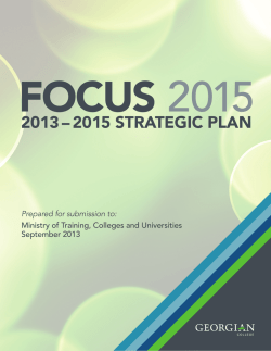 2013–2015 STRATEGIC PLAN