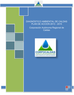 diagnóstico ambiental de caldas plan de accion 2013