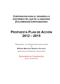PROPUESTA PLAN DE ACCI&Oacute;N