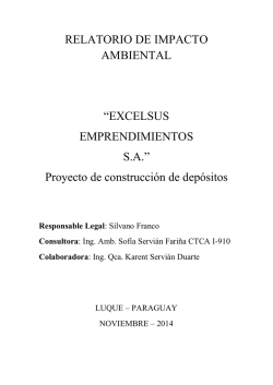 Cuyo Proponente es la Firma EXCELSUS - seam