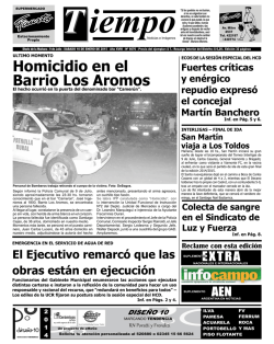 Homicidio en el Barrio Los Aromos - Diario Tiempo Digital