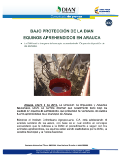 002 Bajo protección de la DIAN equinos aprehendidos en Arauca