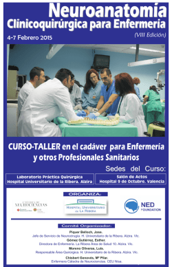 curso alzira 2015.cdr - Colegio de Enfermería de Valencia
