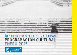 Programacion cultural. Villa de Vallecas. Enero 2014