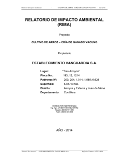 RELATORIO DE IMPACTO AMBIENTAL (RIMA) - seam