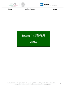 Boletín SINDI 2014 - Sat