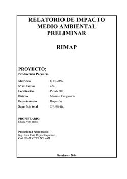 relatorio de impacto medio ambiental preliminar rimap