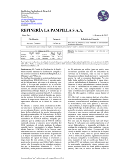 Informe Final Relapasa 2014 09