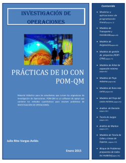Prácticas de IO con POM-QM