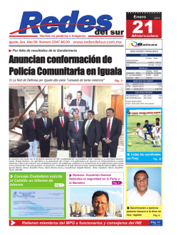 Redes del Sur