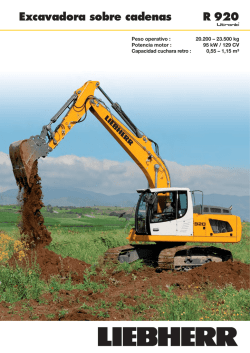 Excavadora sobre cadenas R 920