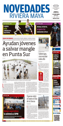 Ayudan jóvenes a salvar mangle en Punta Sur