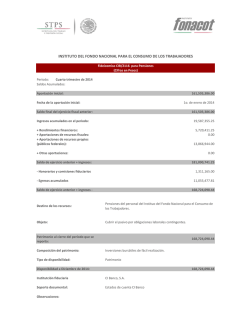INSTITUTO DEL FONDO NACIONAL PARA EL