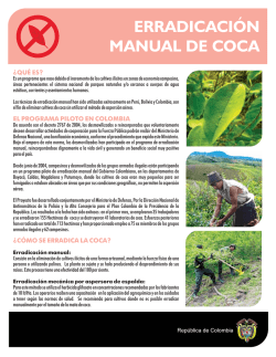 ERRADICACIÓN MANUAL DE COCA